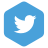icone social twitter